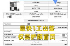 埃及旅游電子簽 僅需護照首頁 最快當天出簽！
